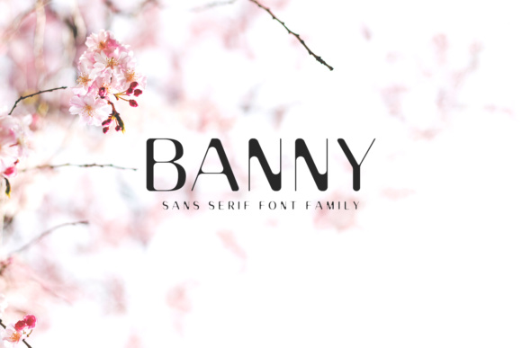 Download Banny Sans Serif Family - Premium Resources
